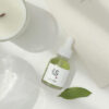 Beauty of Joseon Calming Serum : Green tea + Panthenol - Image 2